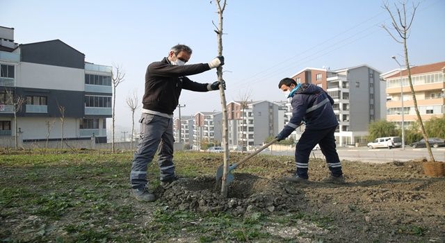 Nilüfer’de fidan dikimi başladı