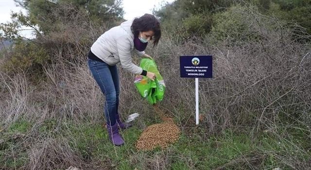 Bitkisel Atıklar Yaban Hayvanlarına Yem Oldu