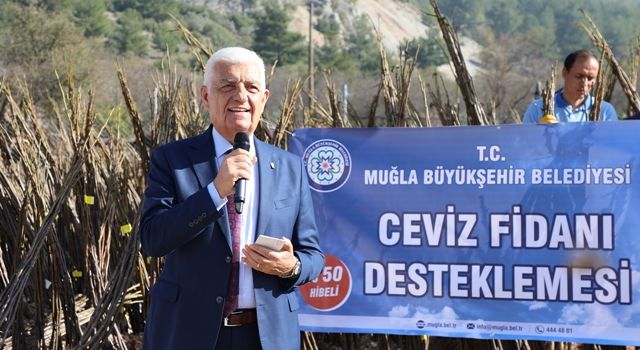 Büyükşehir 77 Bin Ceviz Fidanı Dağıttı