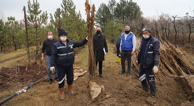 Büyükşehir’den Antalyalı Üreticilere Destek