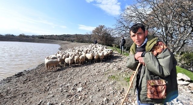 İçme suyu göletleri geldi, hayvancılık yeniden canlandı