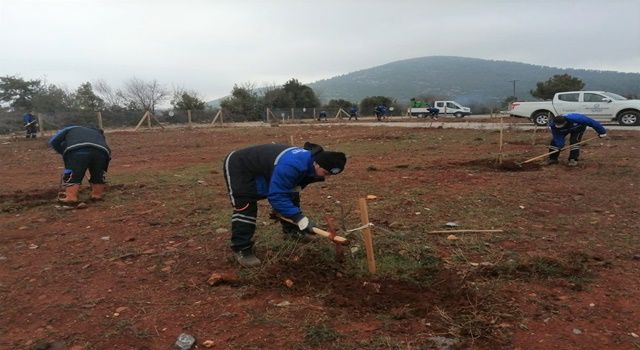 Muğla Büyükşehir’den “Hortikültürel Terapi”