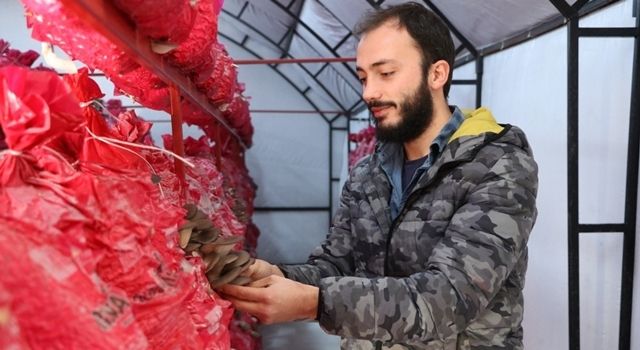 Mühendislik Kariyerini Yarıda Bıraktı, Beykoz’da Mantar Üretimine Başladı