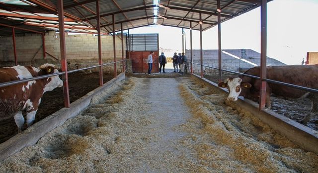 Talaslı üreticilere uzaktan eğitim, yerinde soru-cevap