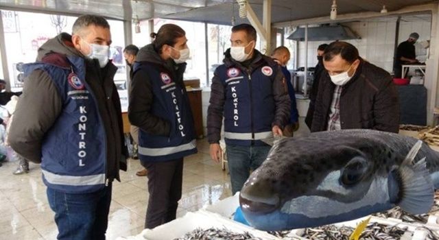 Van'da kaya balığı zannedilen balon balığı can aldı! 2 arkadaştan biri öldü