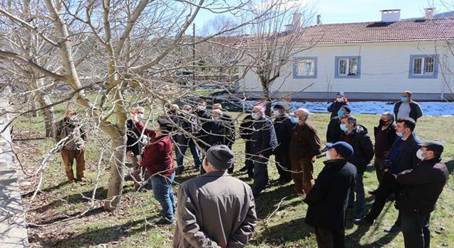 Akseki’de çiftçiye budama eğitimi verildi