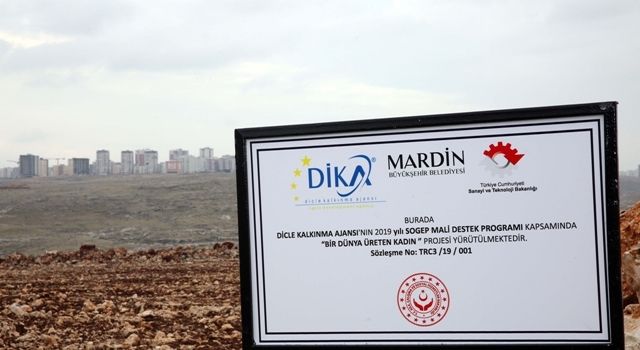 Artuklu’da 15 Lavanta Bahçesi İçin Tarım Alanı Oluşturuldu