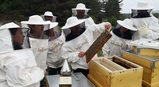 Balparmak, Arıcılık Akademisi ile Arıcılık Mesleğinin Geleceği İçin Muğlalı Arıcıları Eğitiyor