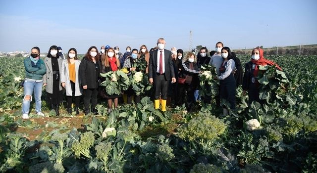 Büyükşehir Ve ILO, Dezavantajlı Kadınlar İçin İş Birliği Yapıyor