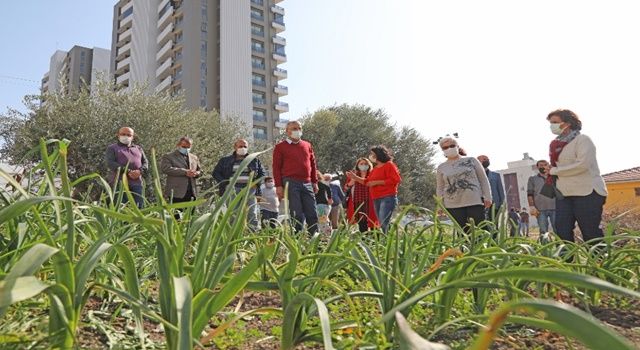 Mezitli’nin kadınları çiçek üretiyor