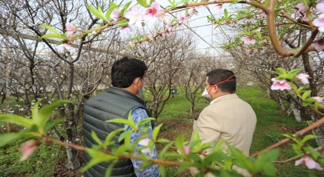 Tütüncü: Üreticilerimiz yeniliklerle Kepez’e değer katıyor