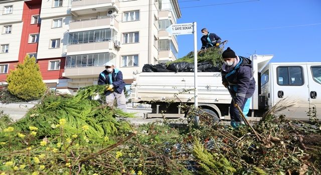 15 Bin Ton Budama Atığı Değerlendirildi