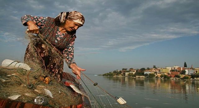 FISHCap çevrimiçi semineriyle Türkiye’nin balıkçılık ve su ürünleri yetiştiriciliği sektörüne derinlemesine bir bakış