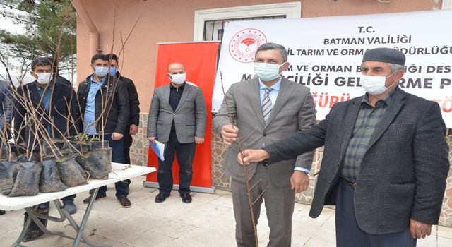 Fıstık ve Badem Fidanı Dağıtımı Yapıldı