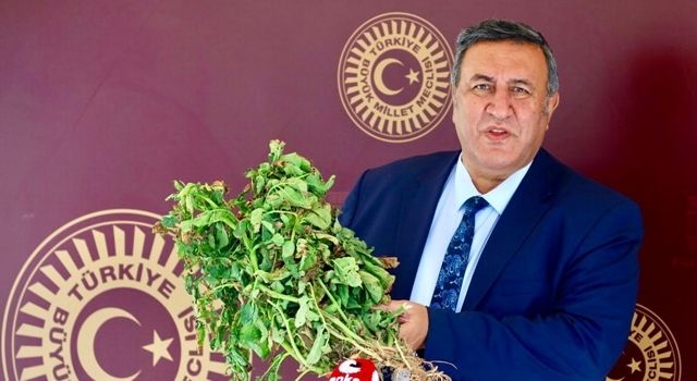 Gürer: “Tarımda son 30 yılın en sorunlu dönemi yaşanıyor”