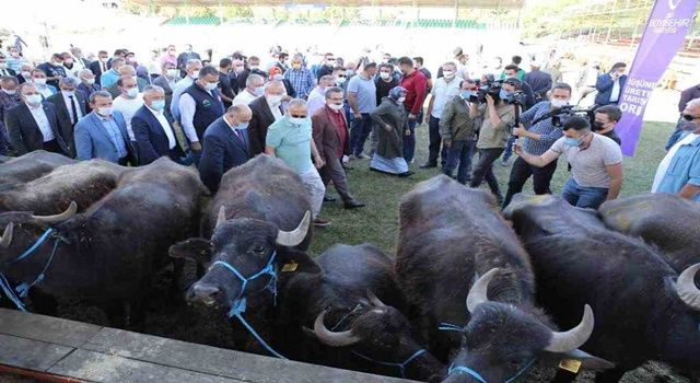 Ordu Tarım ve Hayvancılıkta İddialı