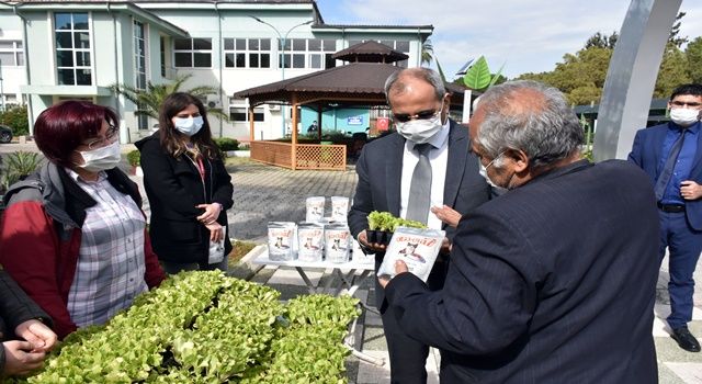 Tarsus Belediyesi’nden 1 Milyon Ücretsiz Yerli Marul Dağıtıldı