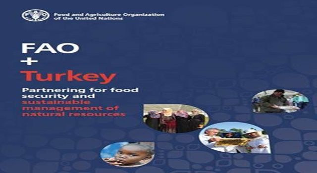 Yeni rapor FAO ve Türkiye’nin güçlü ortaklığını vurguluyor