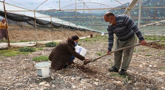Antalya Büyükşehir Çiftçinin Toprağını Analiz Ediyor