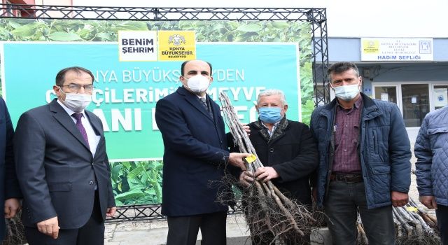 Başkan Altay Hadimli Çiftçilere Sertifikalı Ceviz Fidanı Dağıttı