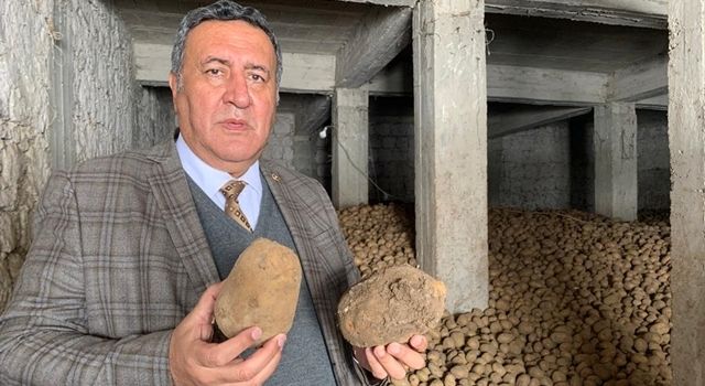 Gürer: “Patates üreticisinin uğradığı zarar karşılanmalı”