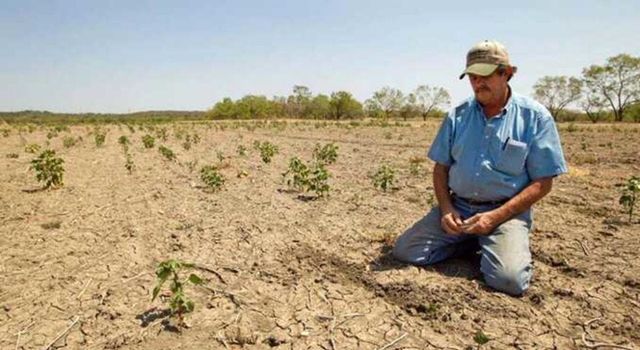 Gürer: “Tarımsal kuraklık halen bazı bölgelerde ciddi risk”