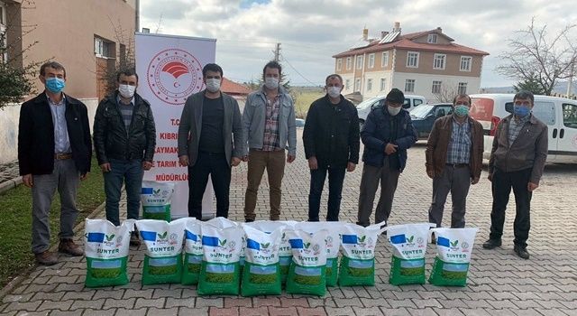 Hayvansal Üretime Yüzde 50 Hibeli Yonca Tohumu Desteği