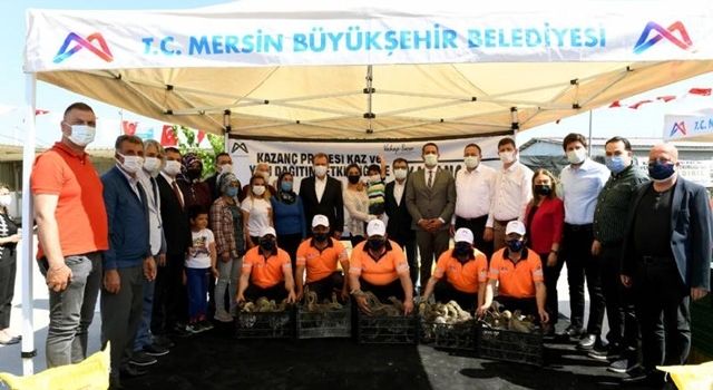 Mersinli Üreticiye Yeni ‘Kaz’anç: 100 Üreticiye Toplam 10 Bin Kaz