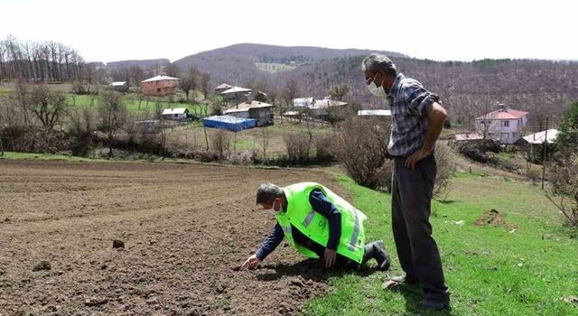 Ordu’nun Atıl Arazileri Yeniden Tarımla Buluştu