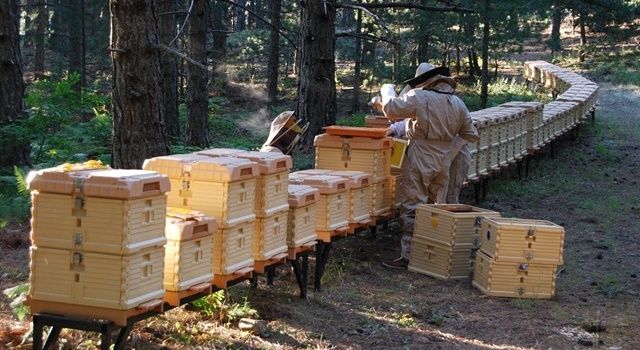 Türkiye, İtalya ve İspanya Ortaklığı ile EUREKA Projesi Hayata Geçti