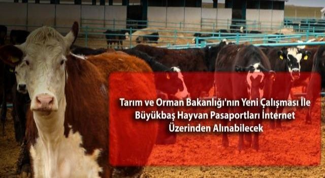 Yetiştiricilere Dijital Ortamdan Hayvan Pasaportu Alma Fırsatı