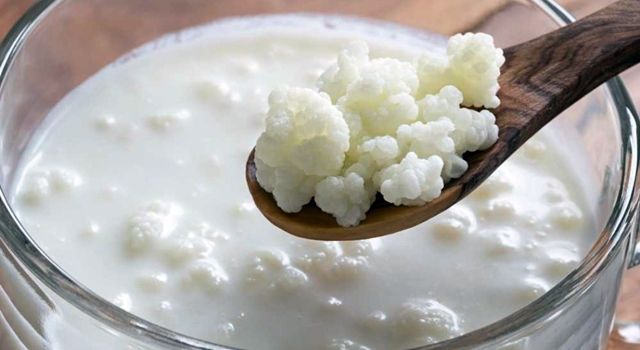 Bağışıklığı Güçlendirmede Kefir Mucizesi