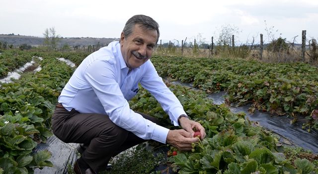 Başkan Ataç'tan Çiftçiler Günü Mesajı