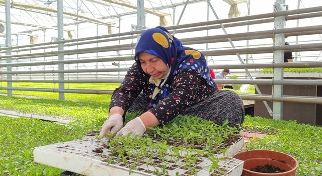 Bolu Belediyesi tarımsal faaliyetlere öncülük etmeye devam ediyor