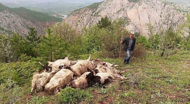 Borçla almıştı, ağıla girdiğinde şoka uğradı