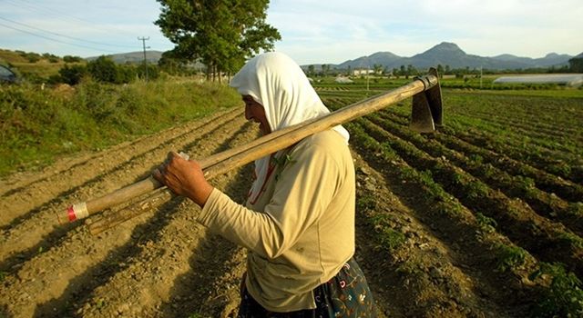 Çiftçiye icra, bakanlığa baklava börek