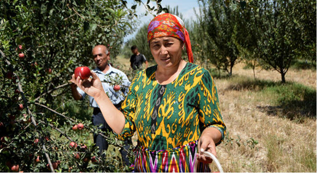 FAO, sağlıklı beslenme maliyetlerini ayrıntılı olarak ele alıyor