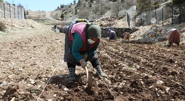 İbradı’da köy okulu üretim merkezi olacak