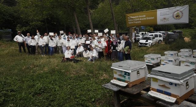 İstanbul’a Yeni Arıcılar