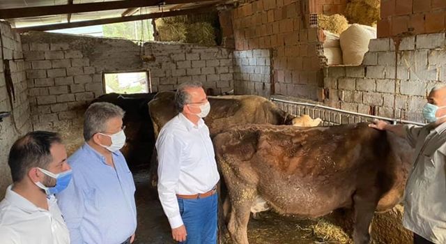 Tarım Bakanı dökülen sütleri görmüyor mu?