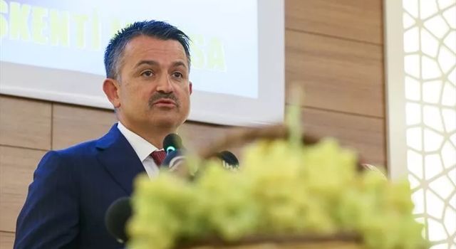 Bakan Pakdemirli: “Yetiştiricilerimizi Yüksek Yem Maliyetleri Altında Ezdirmeyeceğiz”