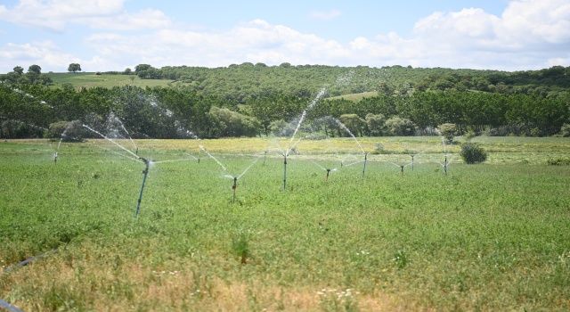 Balıkesir Büyükşehir Belediyesi 15 bin 47 hektar alanda sulama çalışması yapıyor