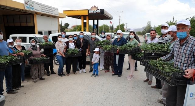 Büyükşehir çiftçilerin hizmetinde