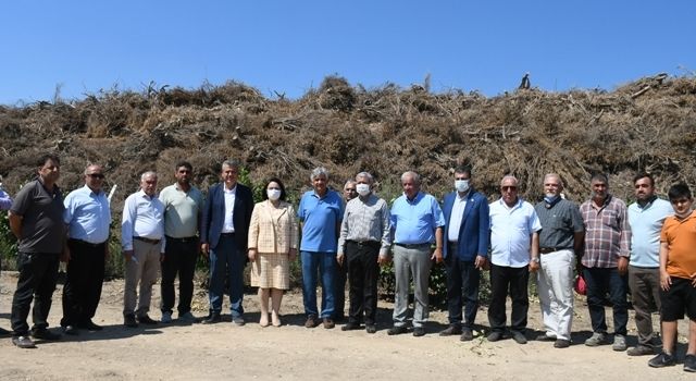 Enerji tesisi tarımı ve halk sağlığını tehlikeye atıyor