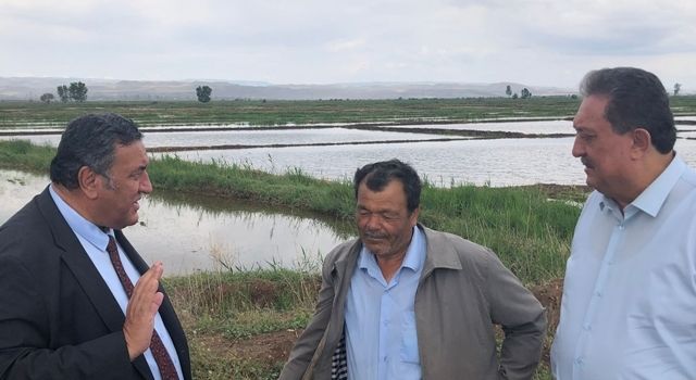 Gürer: “Çeltik üreticisi ithalat tedirginliği yaşıyor”