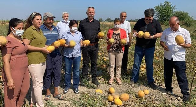 HDP’den kavun üreticisi çiftçilere ziyaret