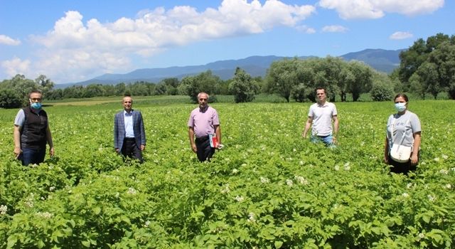 Murat: Patates ve Hububatların Gelişimleri Mutluluk Verici