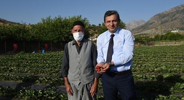 Sason Çileği Coğrafi İşaret Olarak Tescillendi