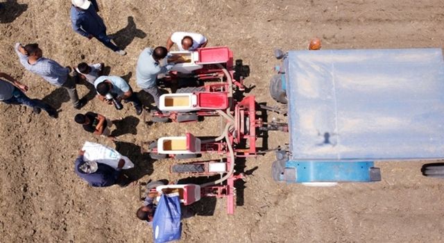 Tarsus Belediyesi’nin Yerli Tohum Atağı Soya Fasulyesi Ekimi İle Devam Ediyor