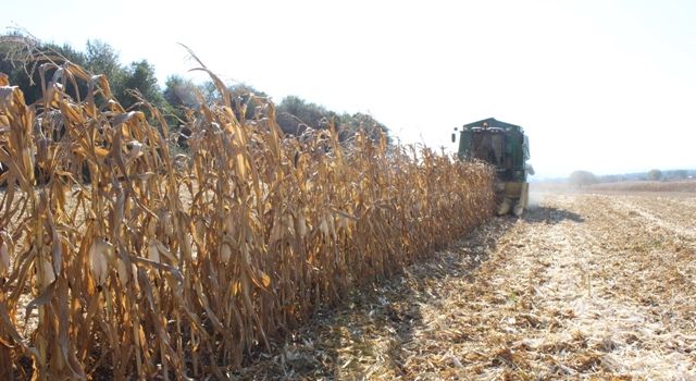 Üreten Bolu’ya 3,1 Milyon TL Destek Ödemesi Başlıyor